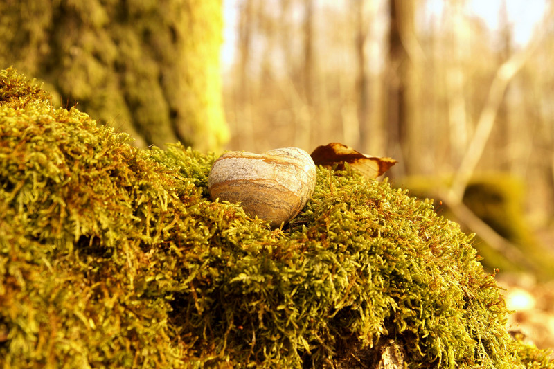 Herz aus Stein liegt auf einem Waldgrab