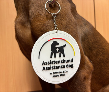 Dodo mit Assitenzhundlogo