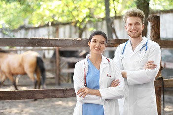 Zwei junge Landärzte stehen vor einem Reitstall